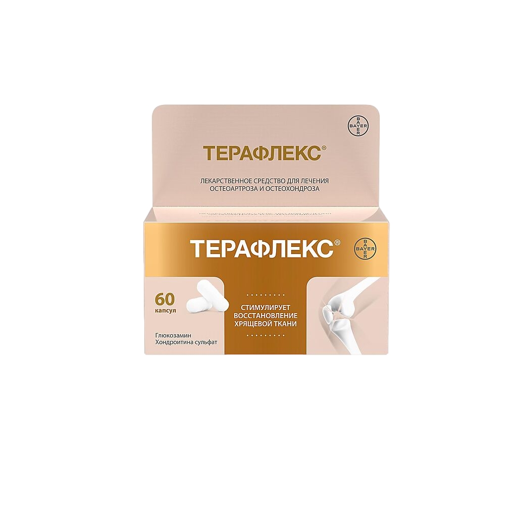 ТЕРАФЛЕКС КАПС 500МГ+400МГ №60