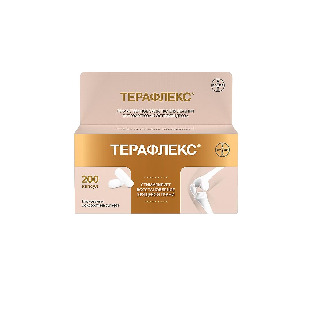 ТЕРАФЛЕКС КАПС 500МГ+400МГ №200